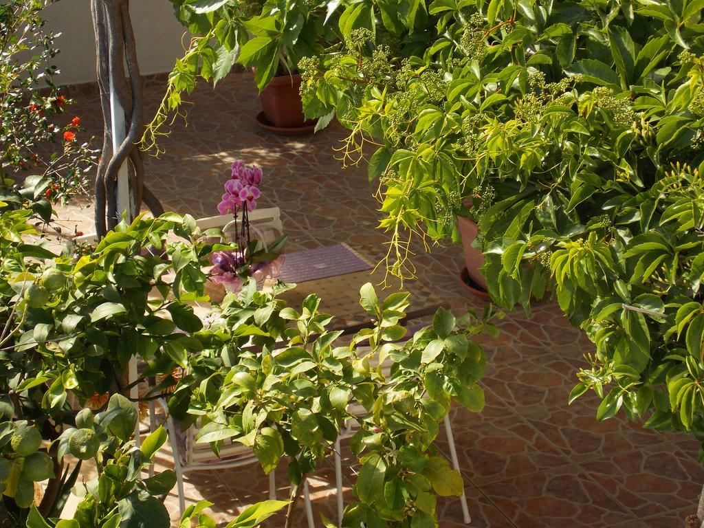 Apartmani Niki Hvar Hvar Town Exteriér fotografie